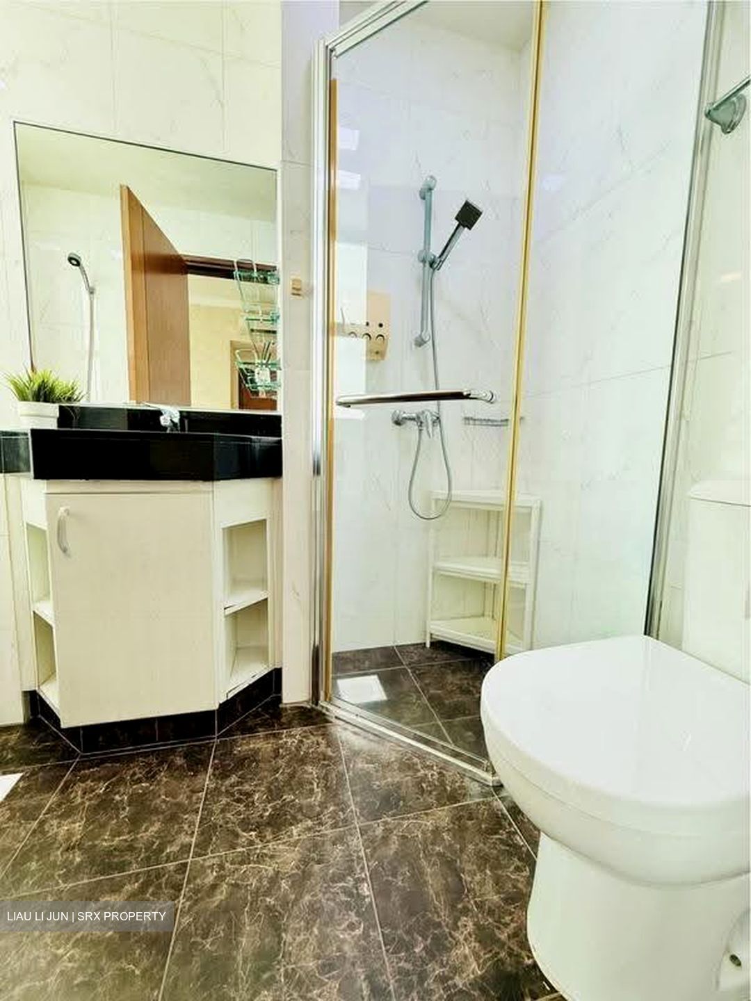 Bishan Loft (D20), Condominium #621708981